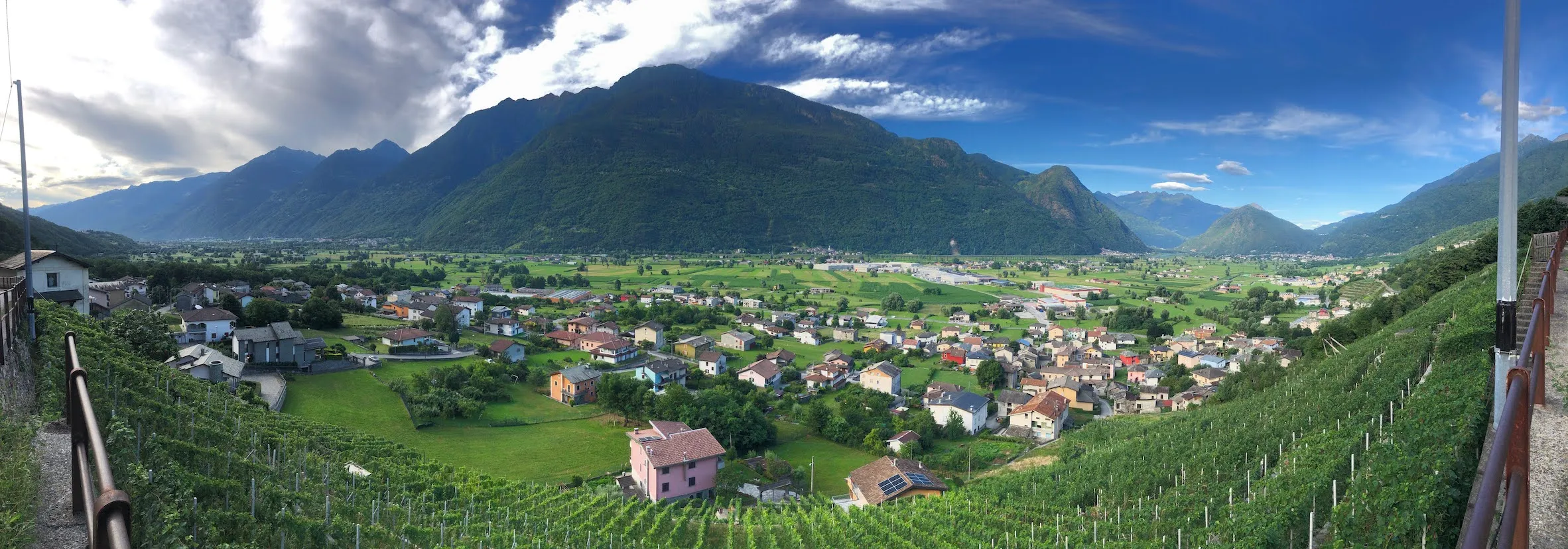 Nino Negri Wine Tour