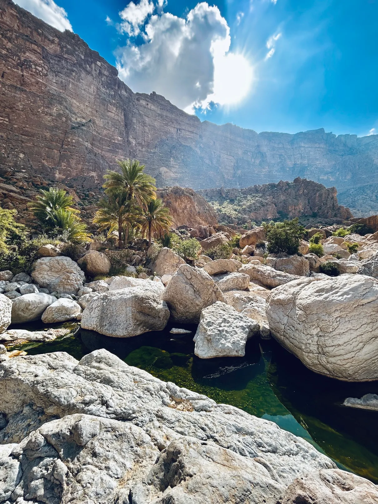 Boulders, green pools, and date palm in Umq Bir