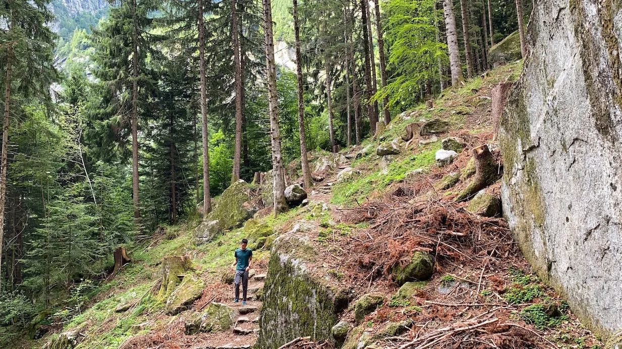 Tanquil forest of Bagni Di Masino