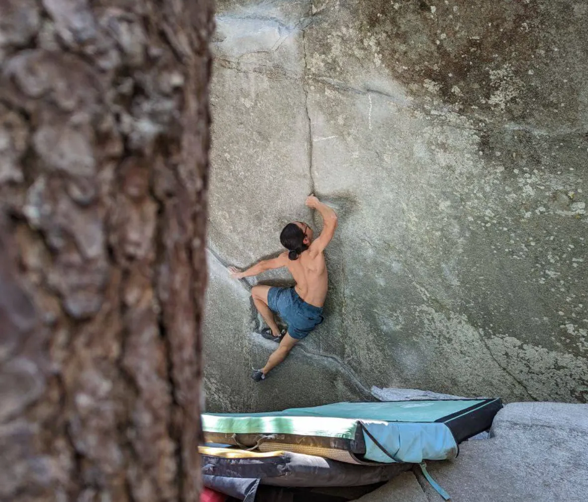 Foxy Lady, 8A route in Magic Wood