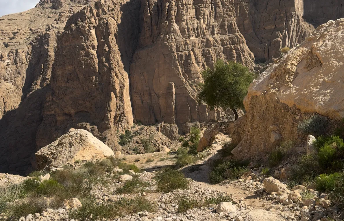 Path by the tree to the crag