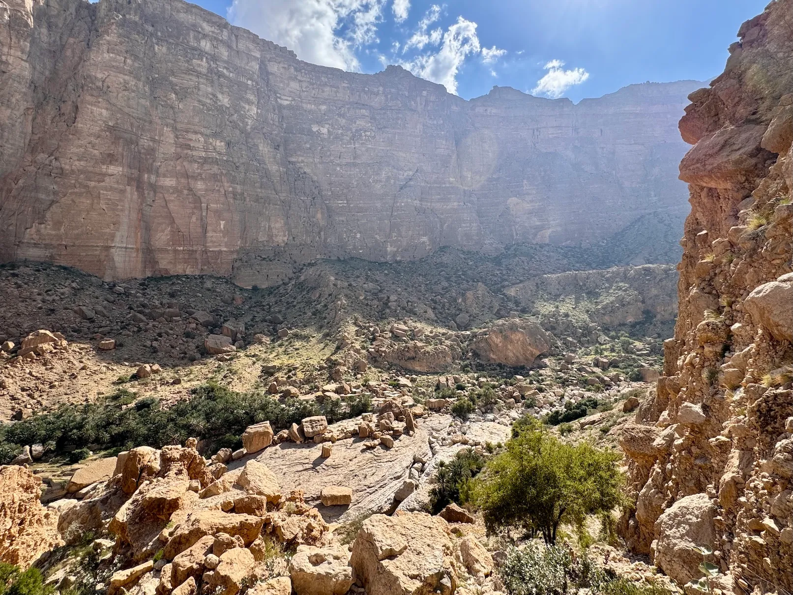 Valley Of Giants Trip Guide