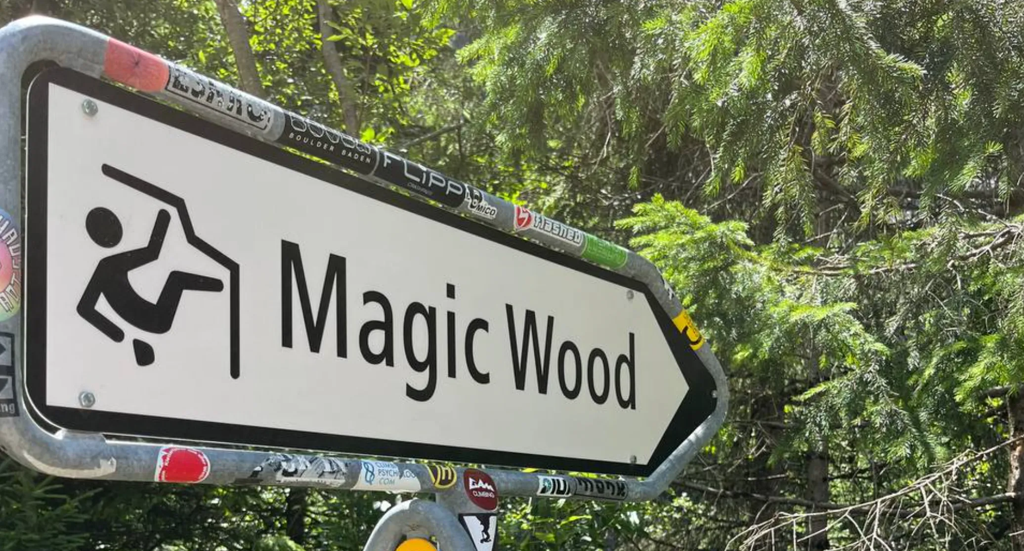 Magic Wood Trip Guide