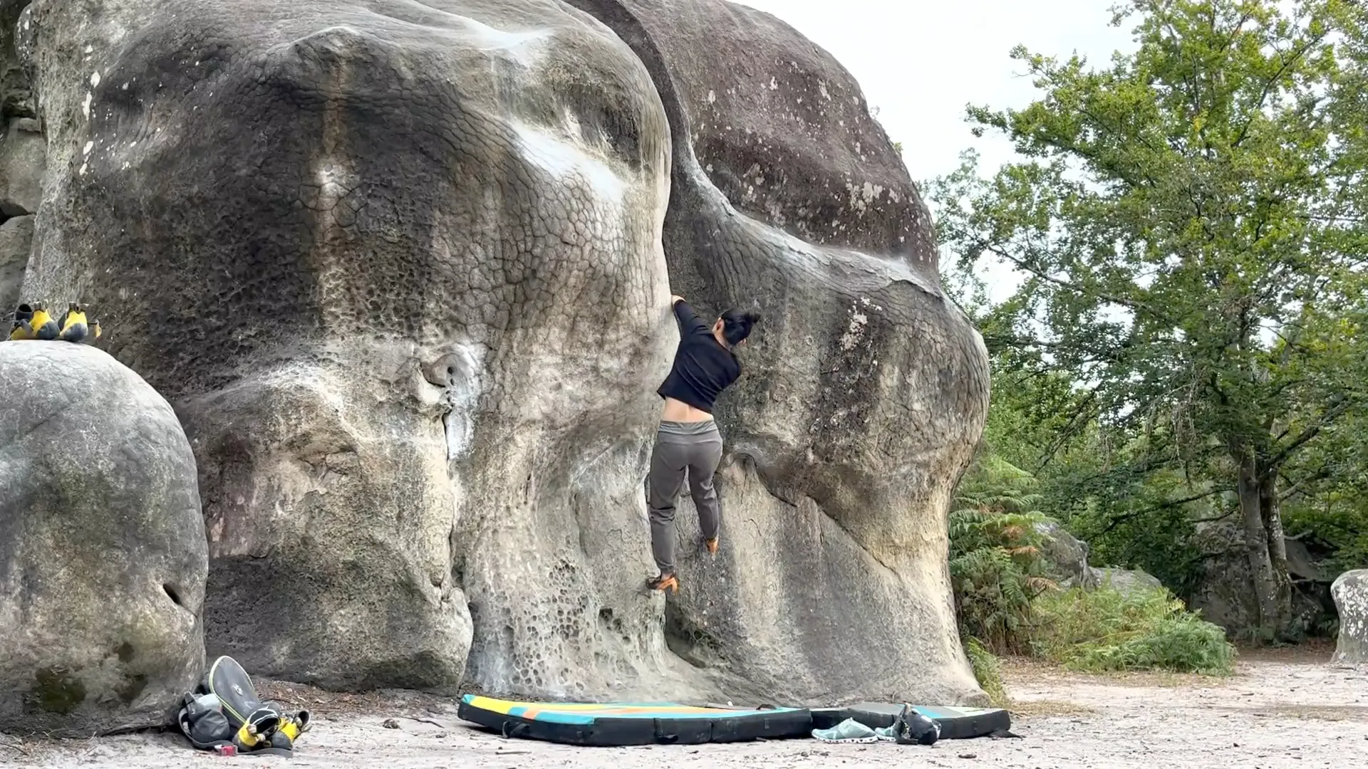 Fontainebleau Trip Guide