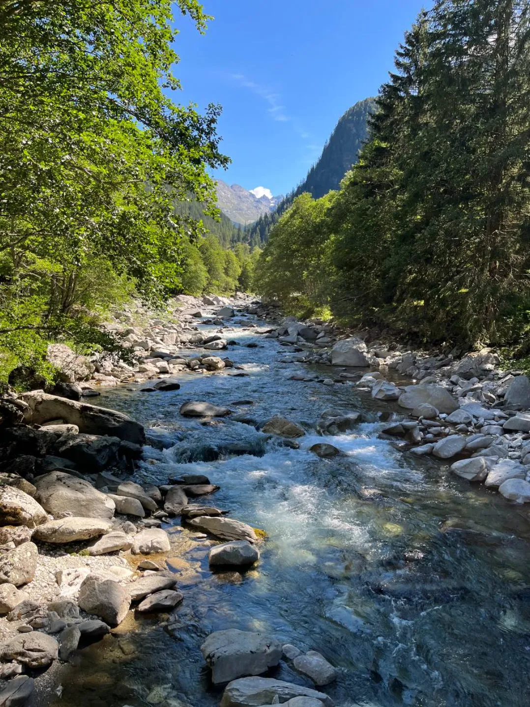 Magic Wood Trip Guide — photo 1