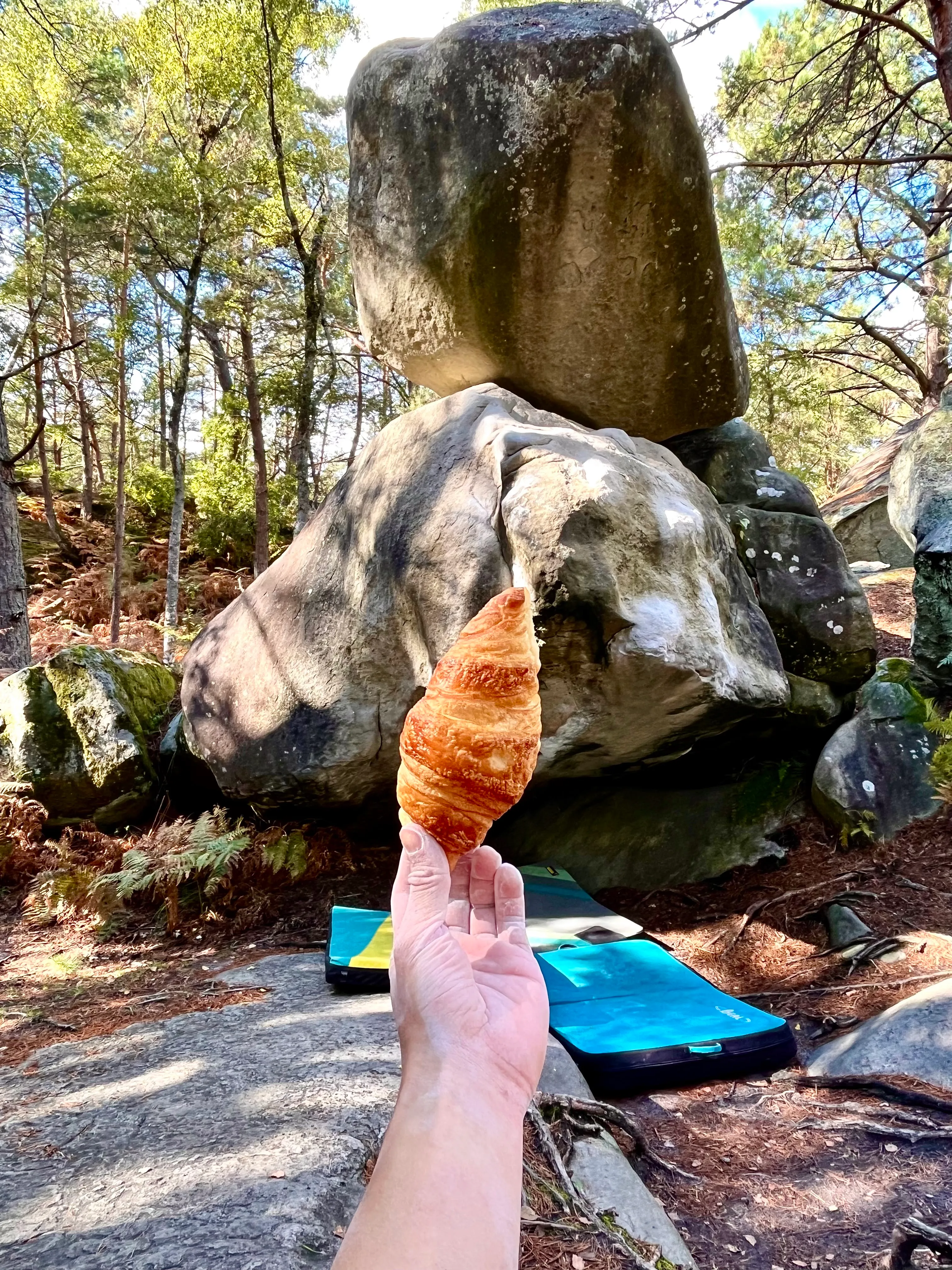 Fontainebleau Trip Guide — photo 1
