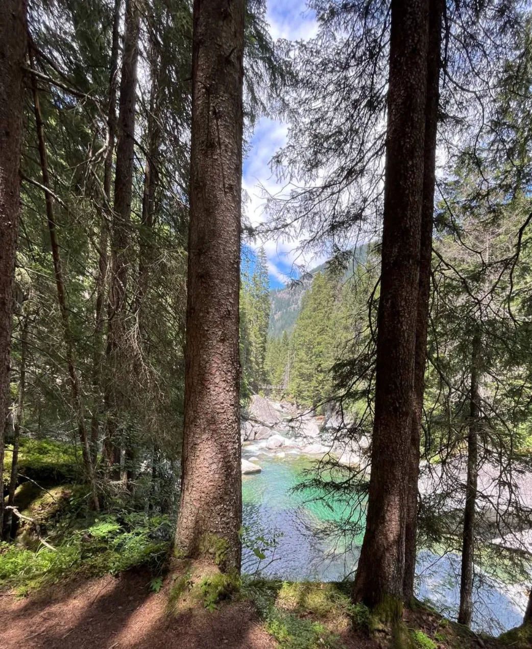 Magic Wood Trip Guide — photo 2