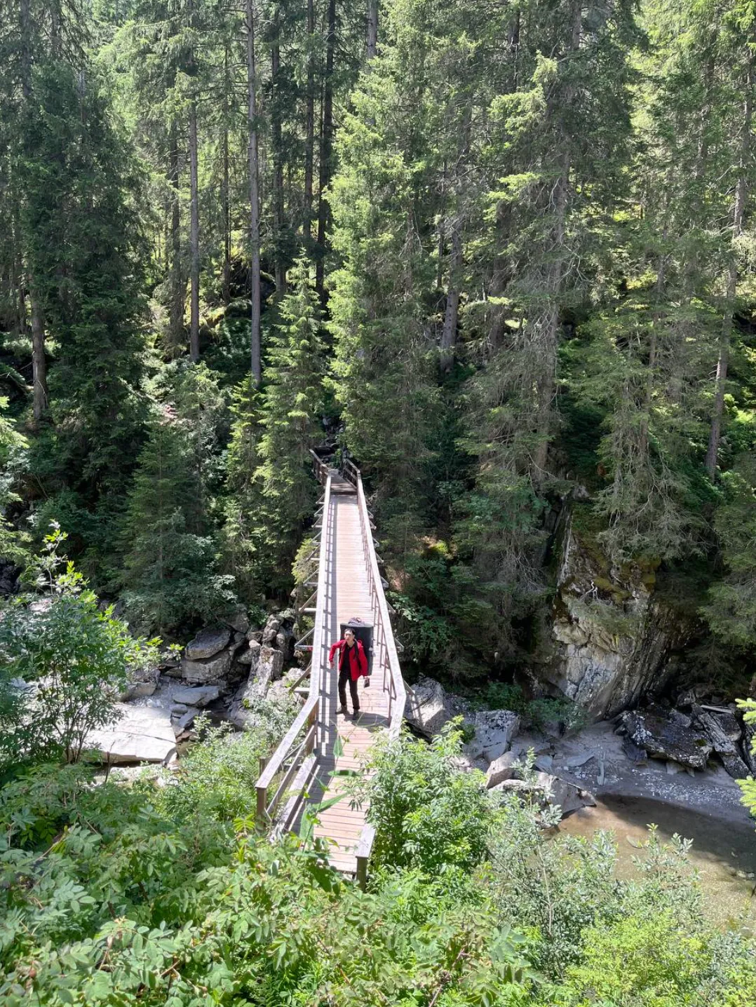 Magic Wood Trip Guide — photo 3