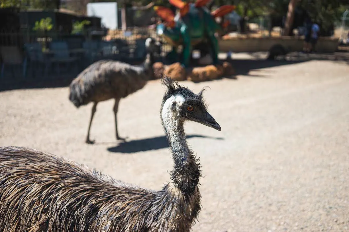 Perth Trip Guide — photo 5